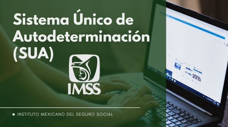 ¿qué Debes Revisar En Su Sistema De Nómina Para Que Coincida Con El Sua 363 Caballero Yemk 2029